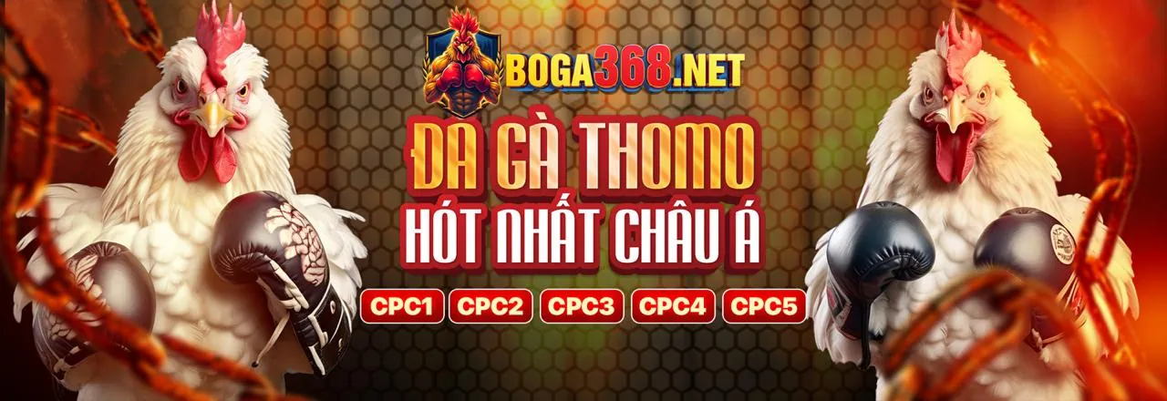 Banner chính Cwin05 tặng 88K